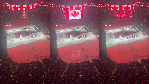 American Hockey Fans Boo Canada's National Anthem in Boston