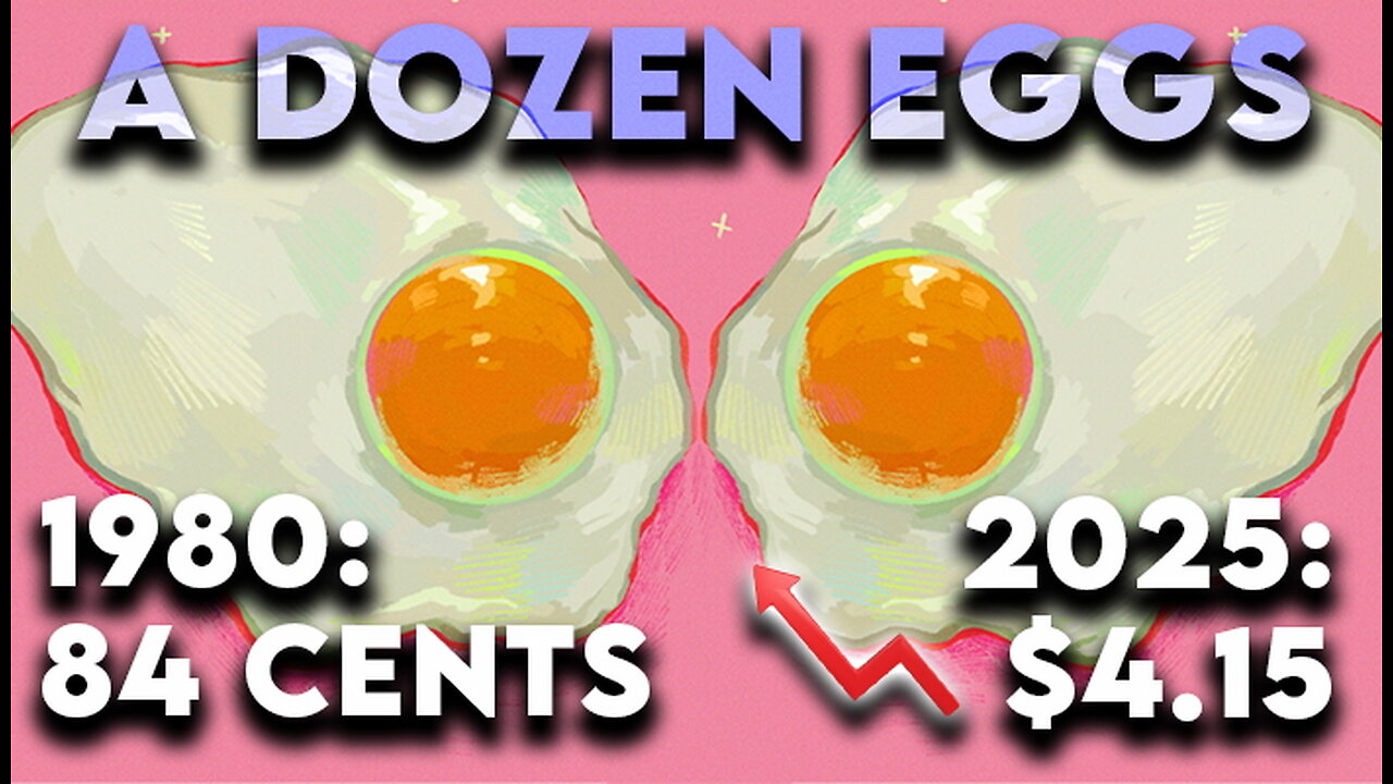 WHAT THE MEDIA WON'T TELL YOU ABOUT EGG PRICES