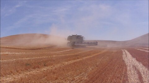 Todays Farming Harvesting Our Hills of Wheat