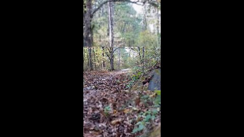 Paradise is a vault toilet