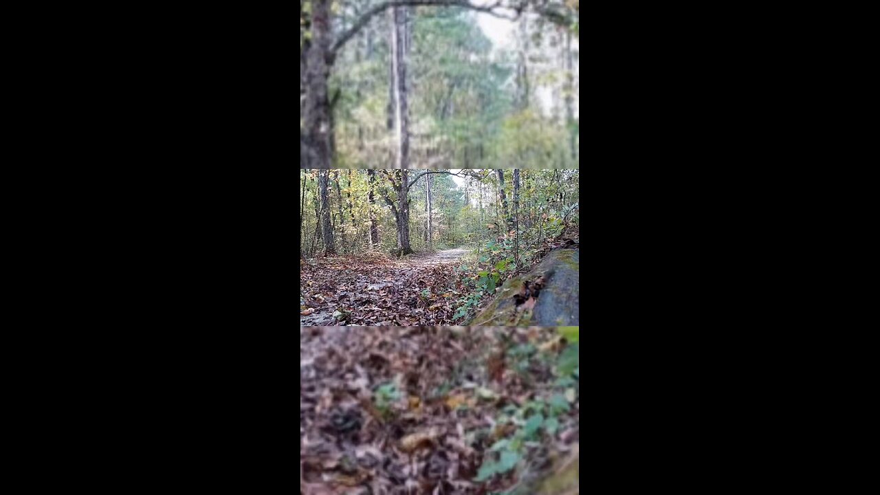 Paradise is a vault toilet