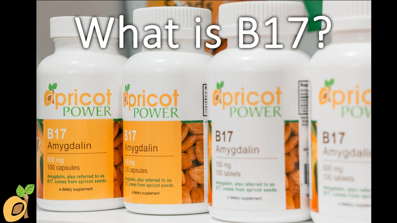 What is B17?