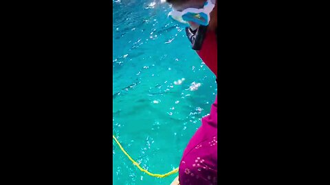 snorkeling