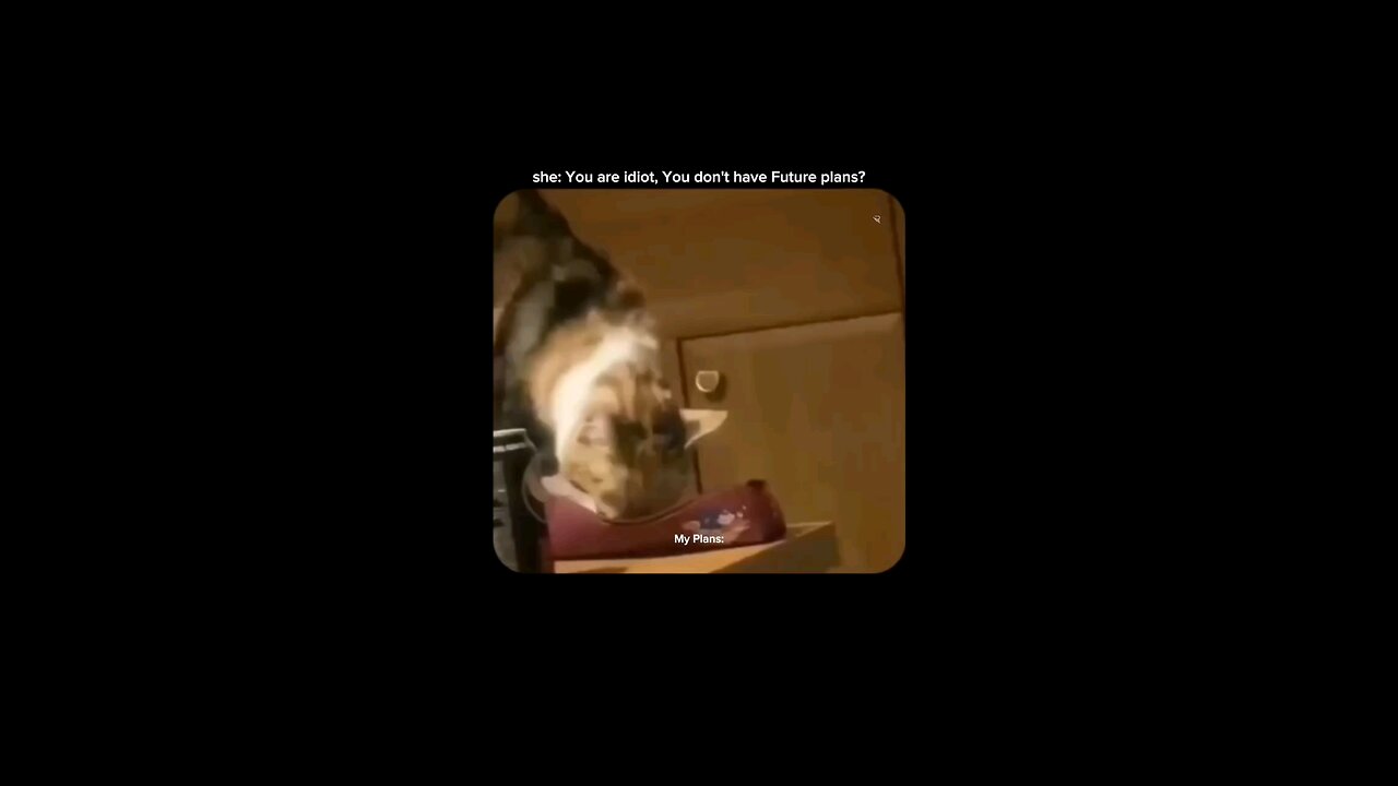 😂🥶💀