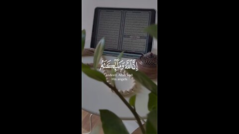 #القرآن_الكريم