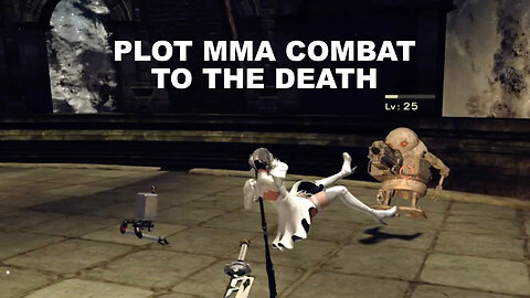 2B Fights in Underground MMA Match