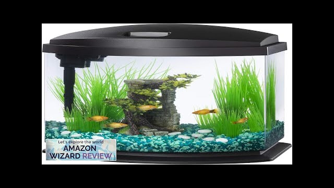 Aqueon LED MiniBow Small Aquarium Fish Tank Kit with SmartClean Technology Black Review