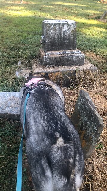 Saturday October 4, The time is coming— in fact it is already here