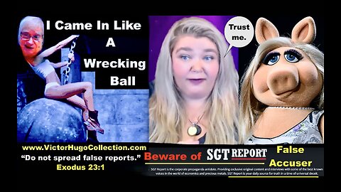 Reputation Wrecking Ball Jim Fetzer Exposes SGT Report HopeGirl John Coleman Doctor Katherine Horton