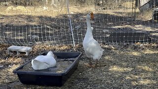 All new swimming tubs