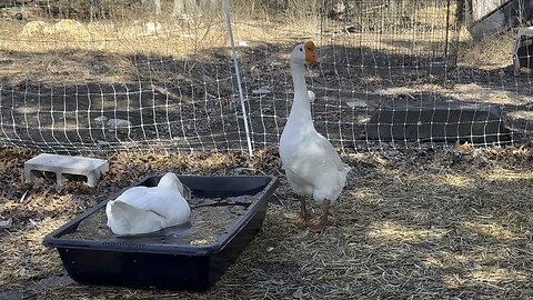All new swimming tubs