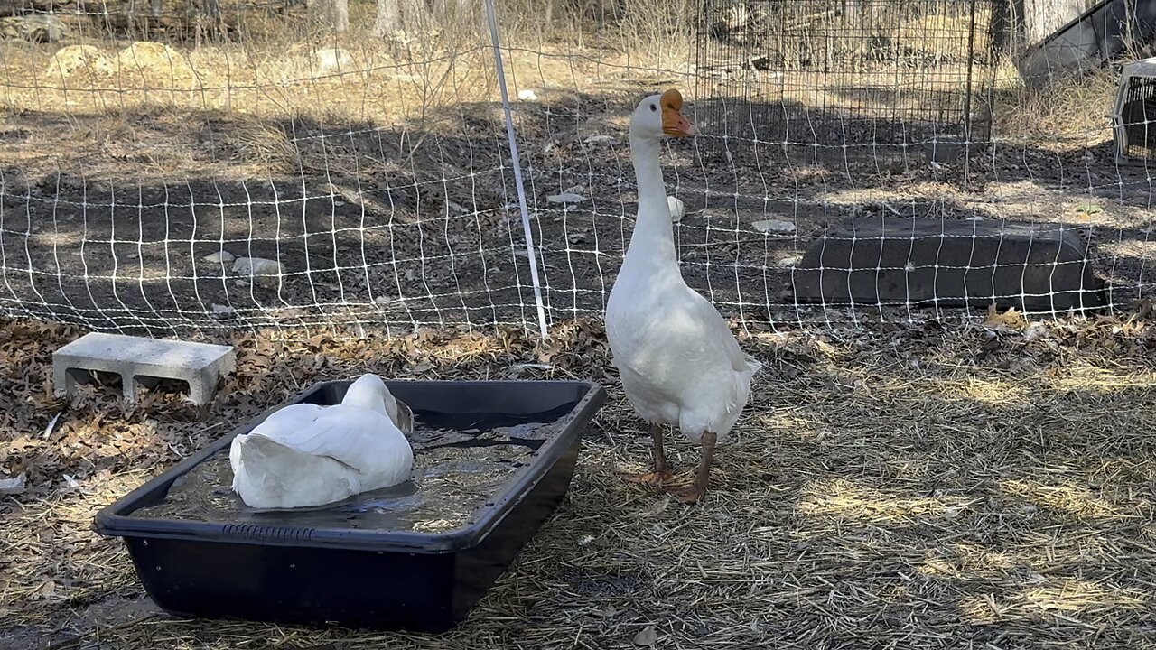 All new swimming tubs