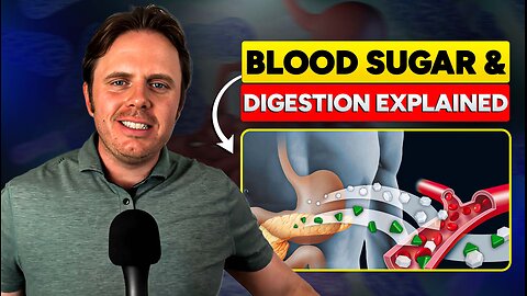 Fat Digestion, Bloating & Blood Sugar Imbalance Explained