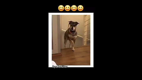 FUNNY! MUST WATCH 😂