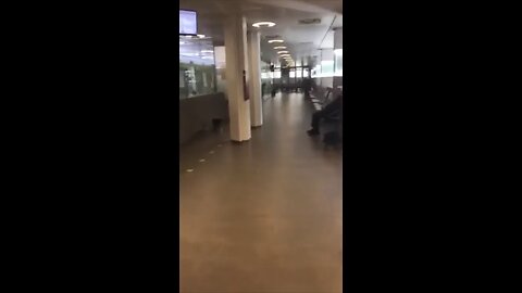 [Mar 21, 2020] Live Footage from Inside an Italian Hospital in Treviso [Billy Zig]