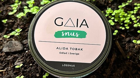 Gaia Lös (Limited Edition) Snus Review