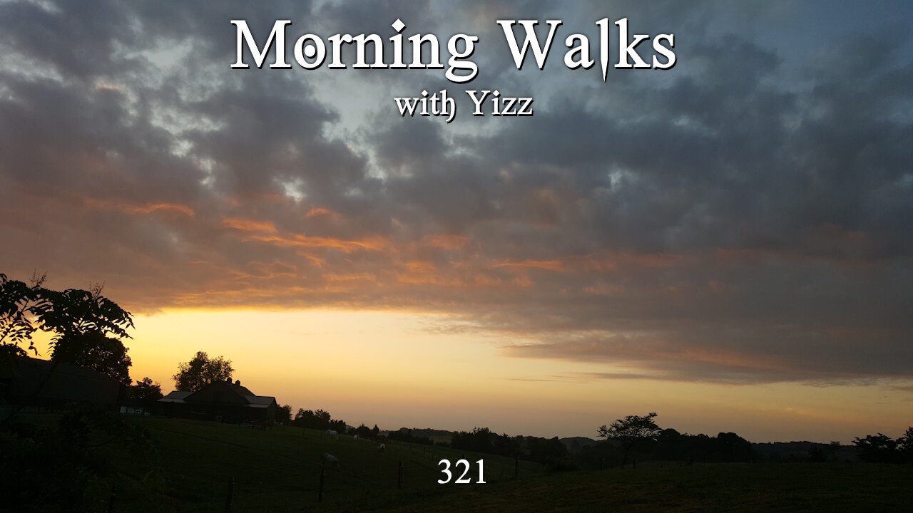 Morning Walks with Yizz 321