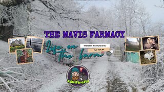 ❄️ Holler Radio | Homestead IRL Life on the Farm | Music + Appalachia