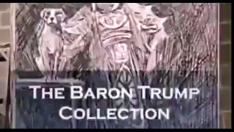 DONALD TRUMP, BARON TRUMP, TIME TRAVEL TESLA & JOHN TRUMP ☠️