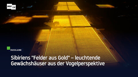Sibiriens "Felder aus Gold" – leuchtende Gewächshäuser aus der Vogelperspektive
