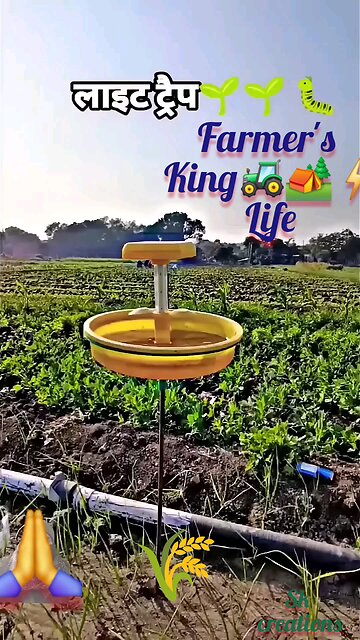 Farmer's life king status 2025|| #viralvideo || खेतीबाड़ी #kisankheti #trending #jamidar || 2025 ||