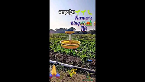 Farmer's life king status 2025|| #viralvideo || खेतीबाड़ी #kisankheti #trending #jamidar || 2025 ||