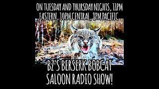 BZ's Berserk Bobcat Saloon Radio Show, 12.26.24: The Biggest Scandal In American Politics