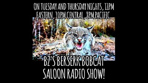 BZ's Berserk Bobcat Saloon Radio Show, 12.26.24, The Biggest Scandal In American Politics