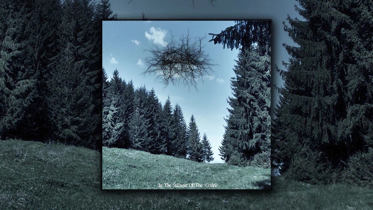 Basarabian Hills - In The Stillness Of The Codrii [Full Album]