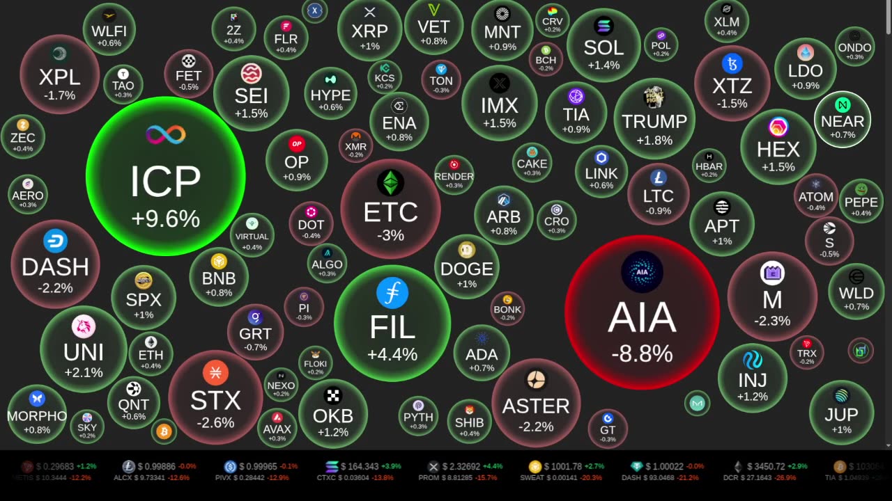 Crypto Tracker / Crypto Bubbles