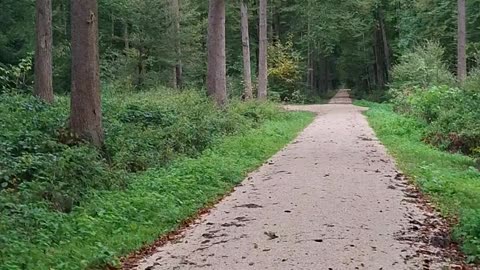 From a culture of participatory annihilation to a culture of holistic integration - Part 1