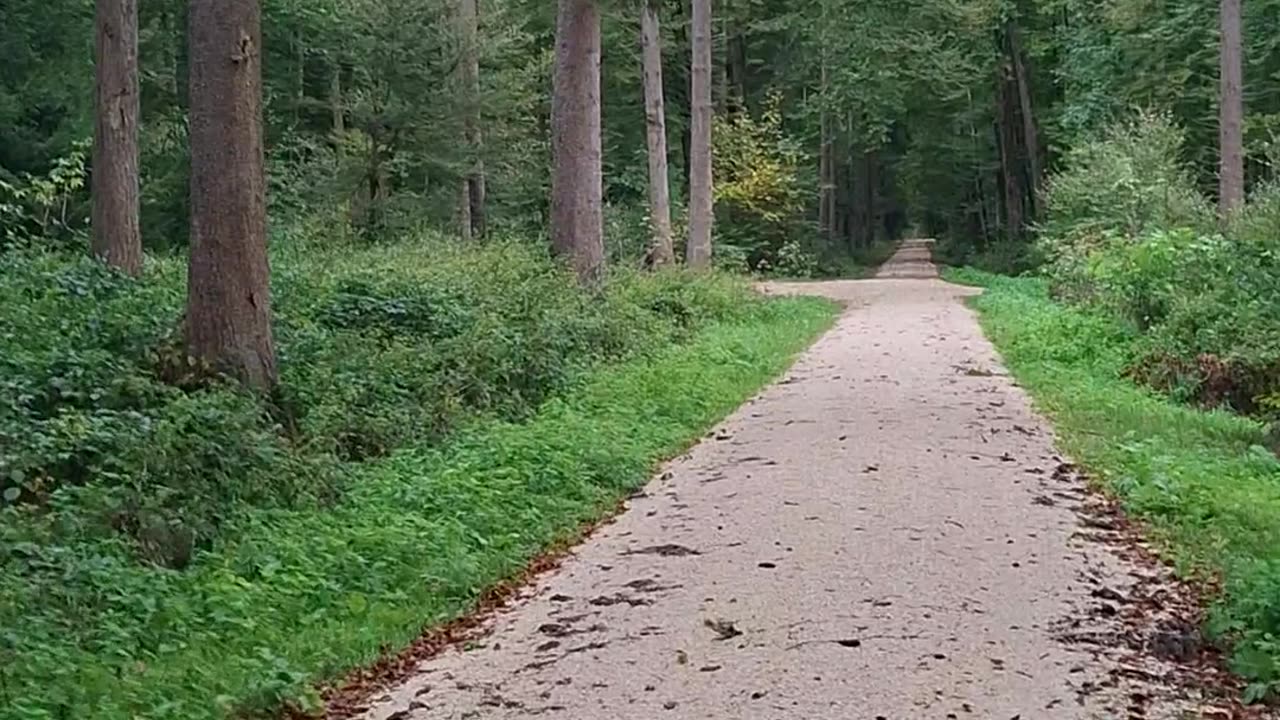 From a culture of participatory annihilation to a culture of holistic integration - Part 1