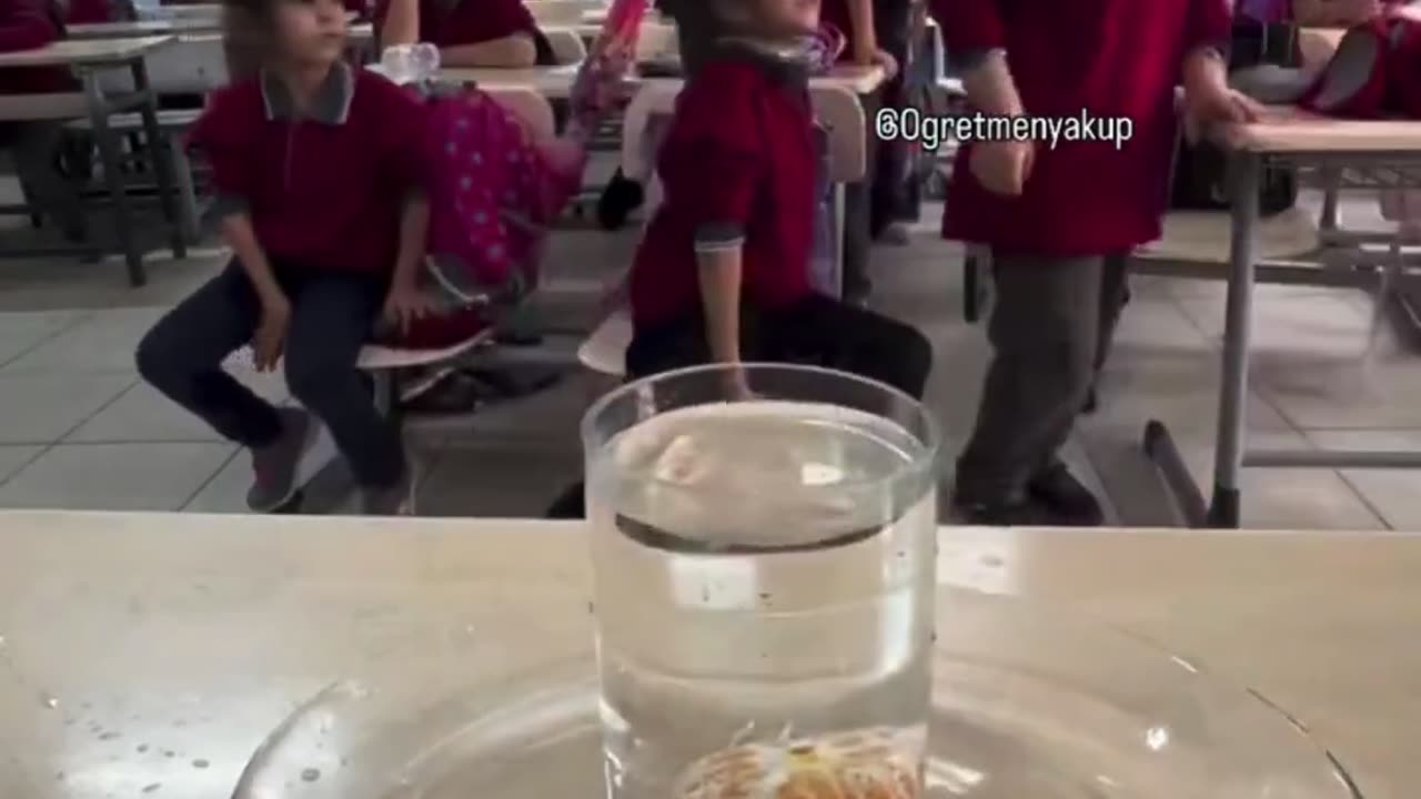 😮👀 Wait For The Final Result... The Most Satisfying Water Challenge! | FeedMyCuriosity