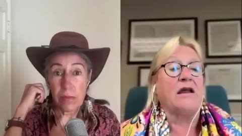 Ex-Investment Banker Catherine Austin Fitts Delivers a Warning That Should Concern Us All