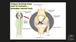 Genesis Science Report