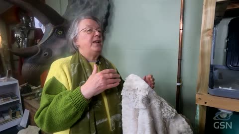 Genesis Science Report