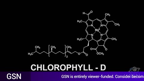 Genesis Science Report