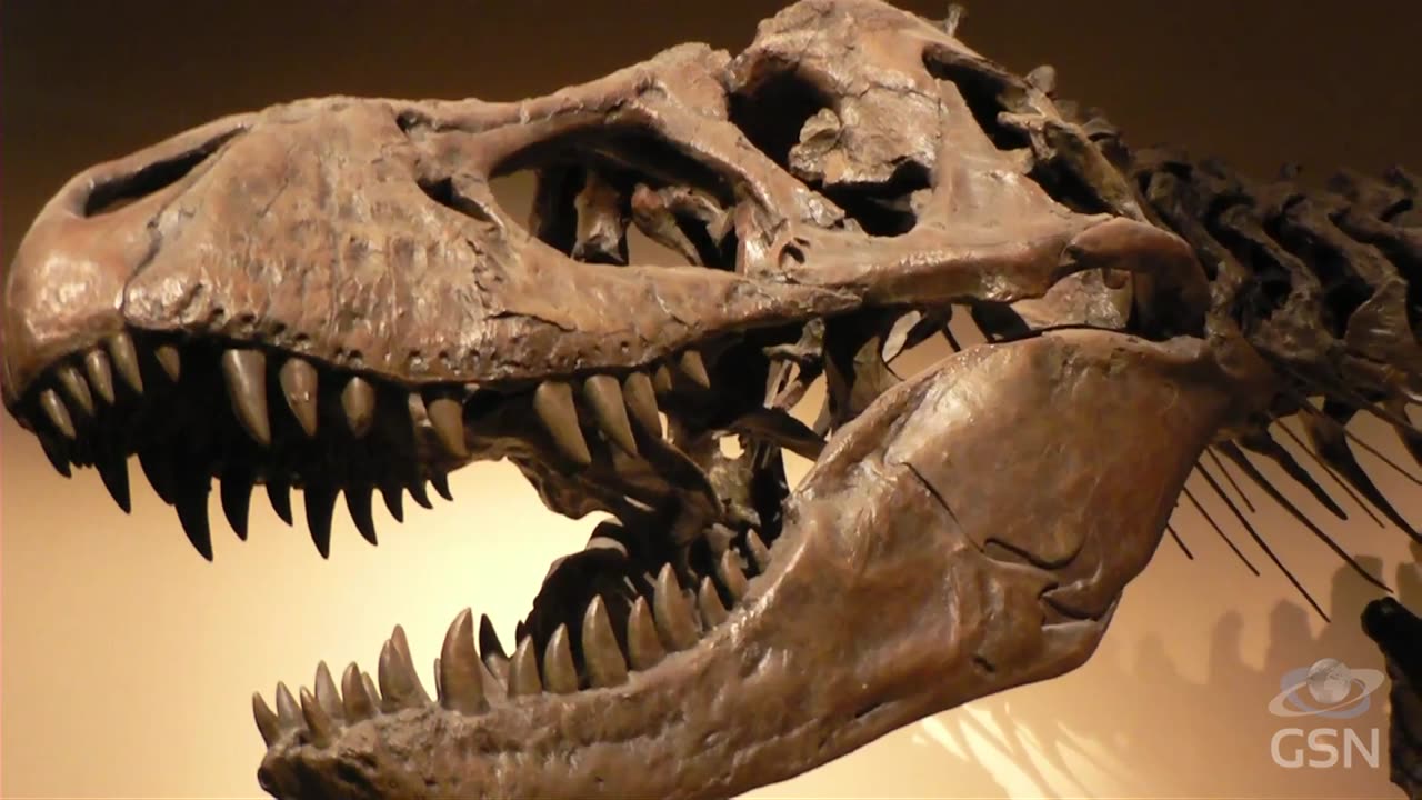 Genesis Science Report