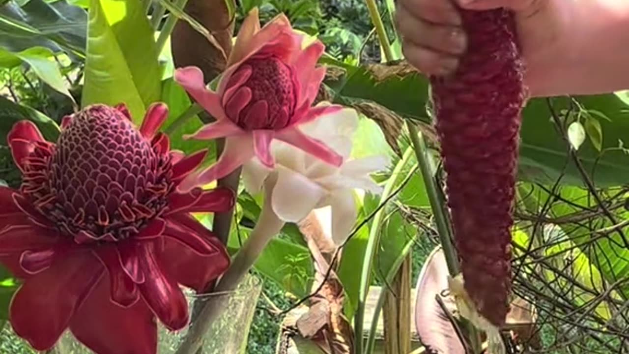 Can we agree that Mother Nature have everything you need?!