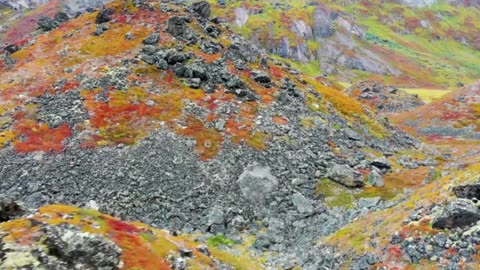 Chill R&B Flow for Everyday Mood