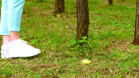 Awesome Pet Hacks: DIY Fun Toys & Must-Have Gadgets Every Pet Owner Needs!"