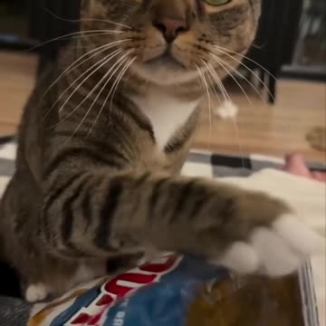 Just a couple I promise 😂