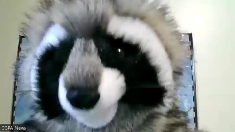 CGPA Puppet Sports Analyst Dave Clarke-At this Time of the year Lets Talk About Cold "Weather Teams"