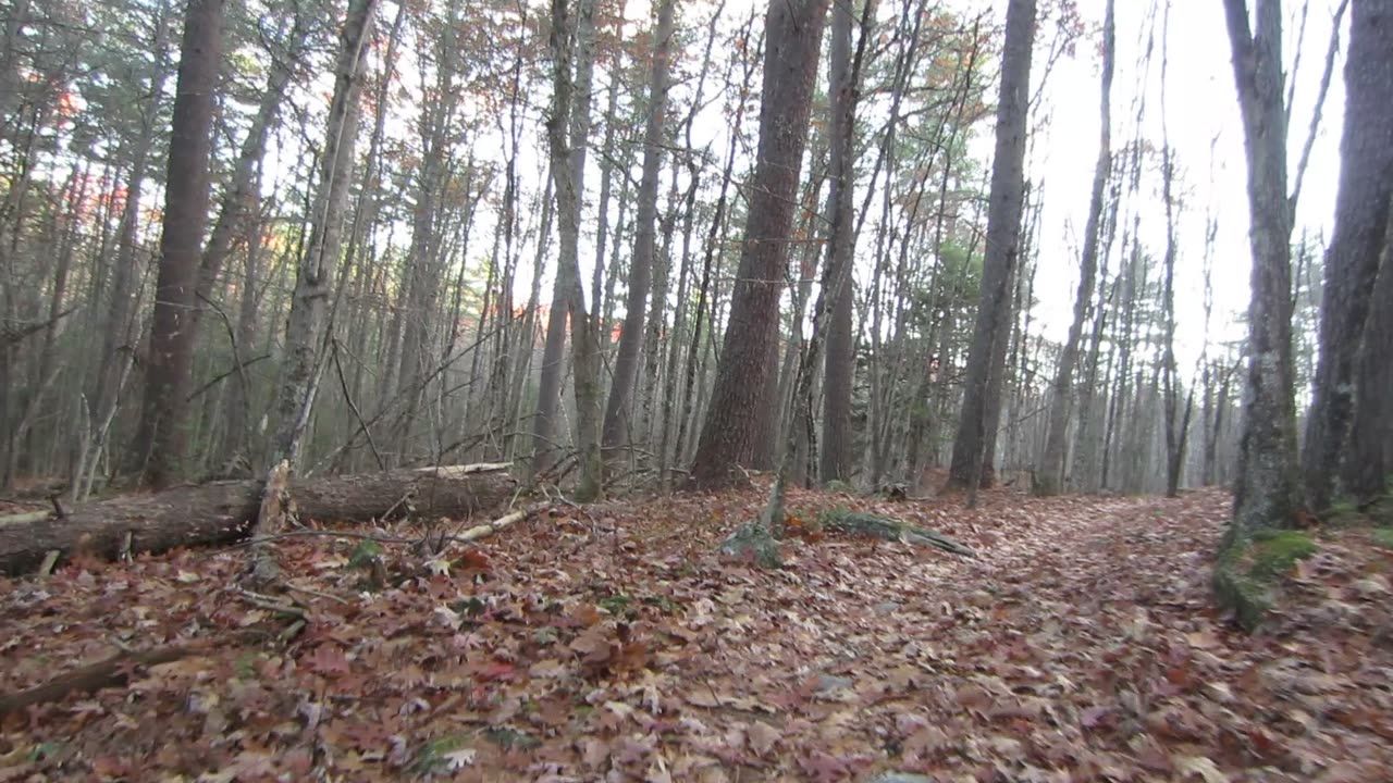 Will the US ambush Venezuela or has that plan suddenly soured?