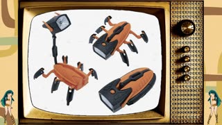 Gibb Shopping Network 2025 - Week 43