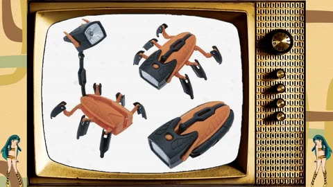 Gibb Shopping Network 2025 - Week 43