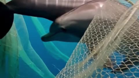 Water polution