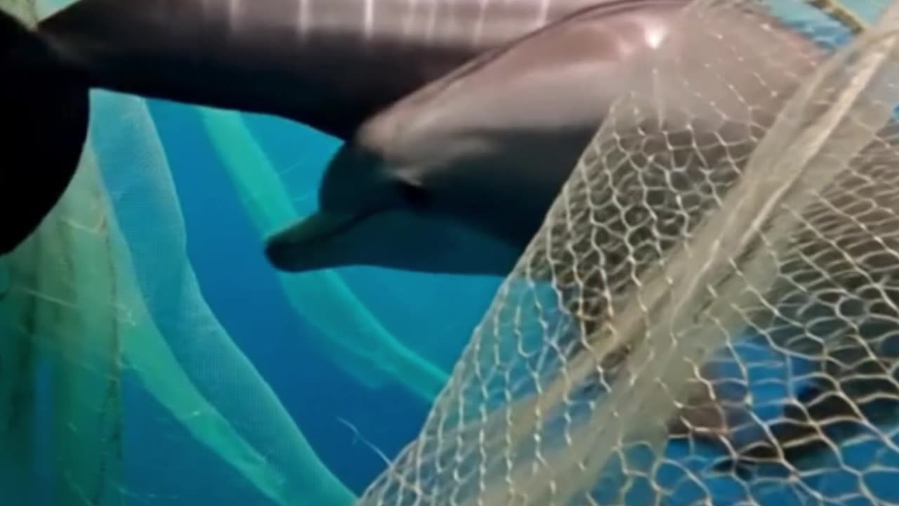 Water polution