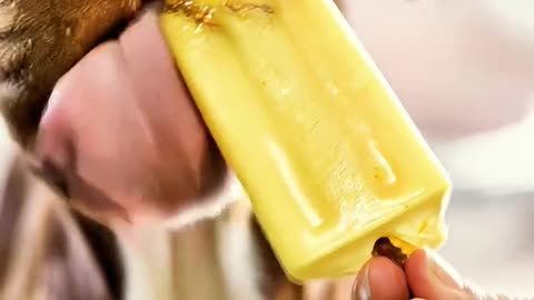 ASMR Glass Fruit Cutting | Most Relaxing & Satisfying Short Video 🎧 #Shorts #Songs #asmr #dog #dogs