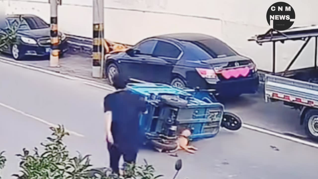 Unbelievable Moment: TukTuk Loses Control After Two Dogs Run Into the Road!